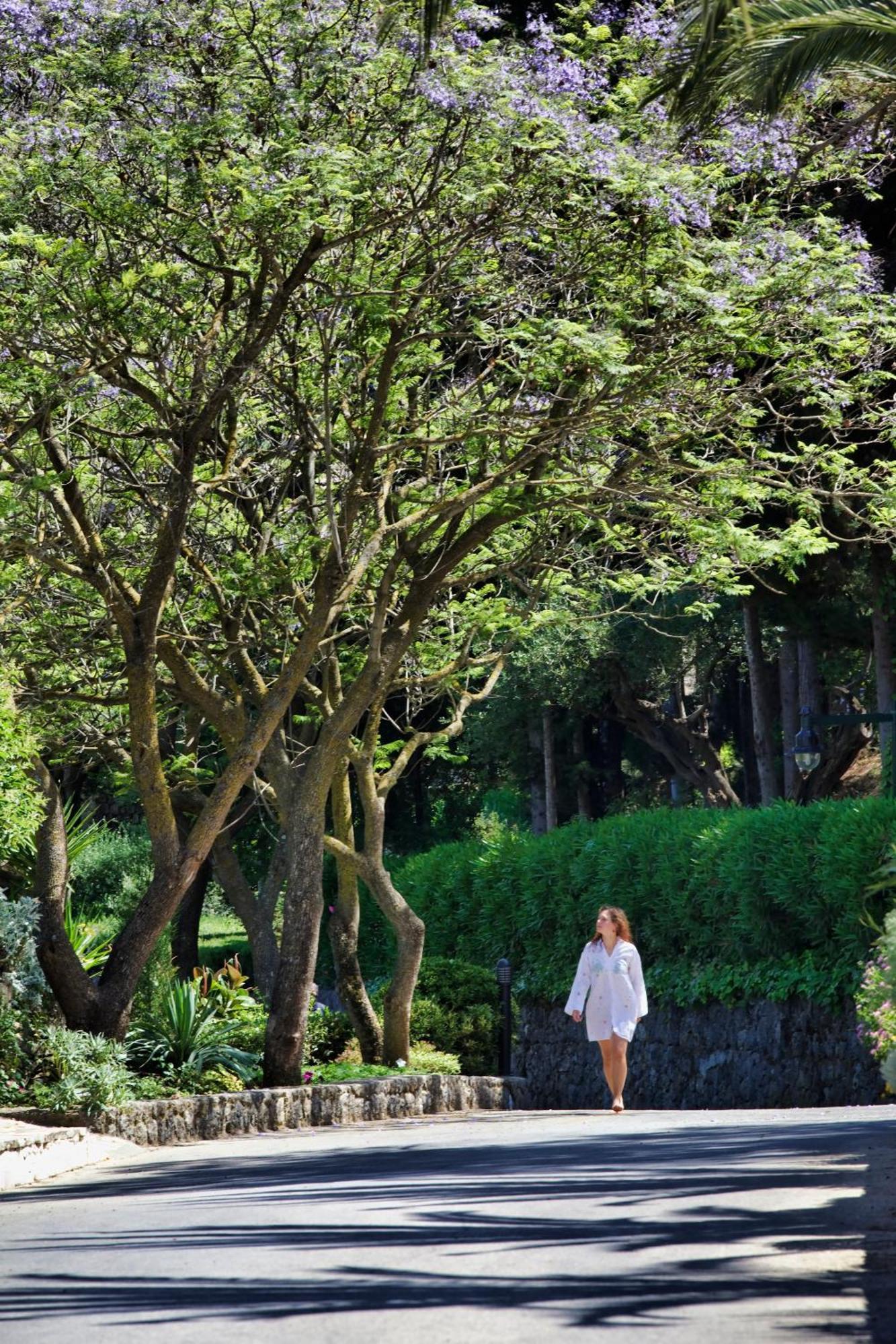 Aeolos Beach Resort Gastouri  ภายนอก รูปภาพ